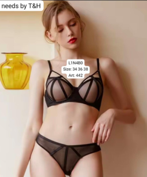 imported bra penty set